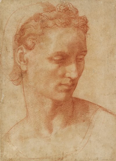 Tête de femme, début du XVIe siècle - Baccio Bandinelli