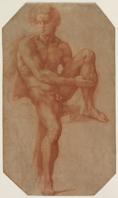 Homme nu assis, vers 1516-1520 - Baccio Bandinelli
