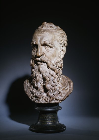 Étude de la tête de Saint Paul, vers 1535 - Baccio Bandinelli