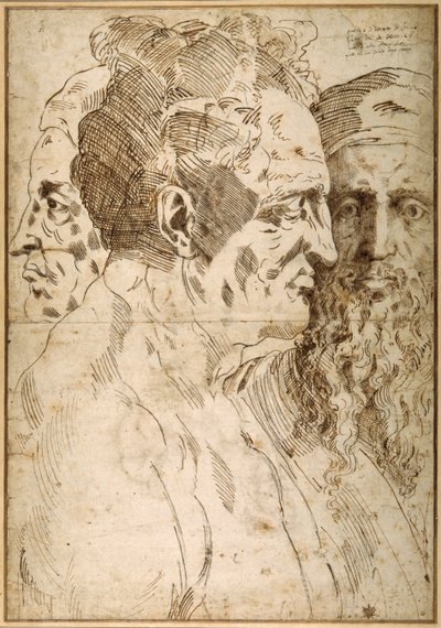 Trois têtes masculines juxtaposées - Baccio Bandinelli