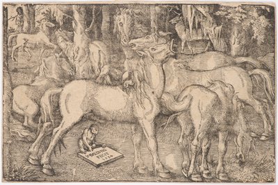 Groupe de sept chevaux - Baldung