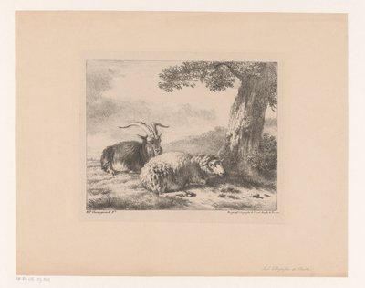 Bouc et mouton - Balthasar Paul Ommeganck