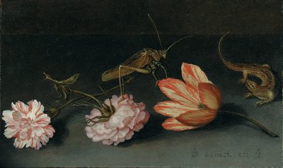Œillets, une tulipe perroquet, une sauterelle et un lézard sur un rebord - Balthasar van der Ast
