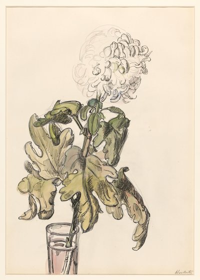 Chrysanthème en fleur, dans un vase - Barbara Elisabeth van Houten