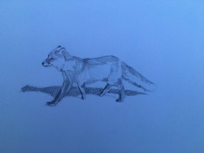 Renard - Barbara Hoogeweegen