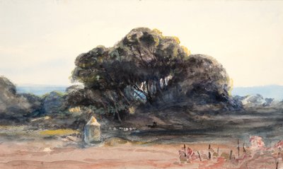 Paysage : Pin et petite tourelle - Barbara Leigh Smith Bodichon