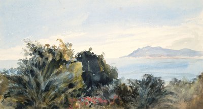 Paysage avec plan d