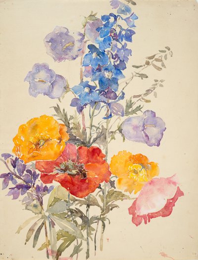 Fleurs jaunes, rouges et bleues - Barbara Leigh Smith Bodichon