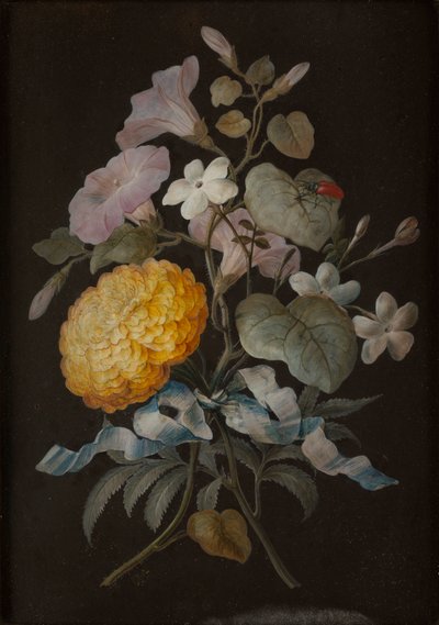 Ensemble de quatre natures mortes avec papillons - Barbara Regina Dietzsch