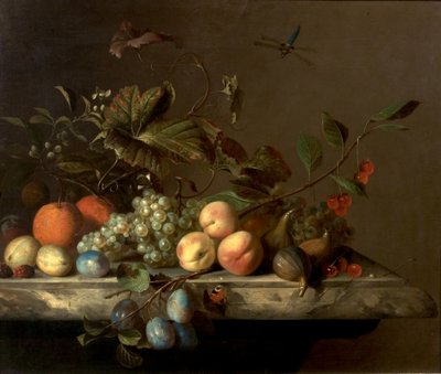 Nature morte avec libellule, 1692 - Barend or Bernardus van der Meer