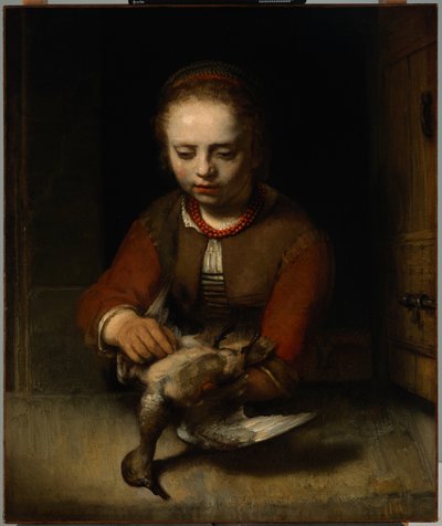 Jeune fille plumant un canard - Barent Fabritius