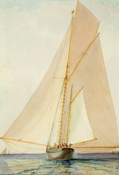 Sortie dans une Légère Brise - Barlow Moore