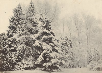 Paysage de sapins sous la neige - Baron A. Fays