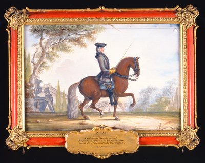 No. 13 Pas de dressage exécuté par un cheval napolitain de l