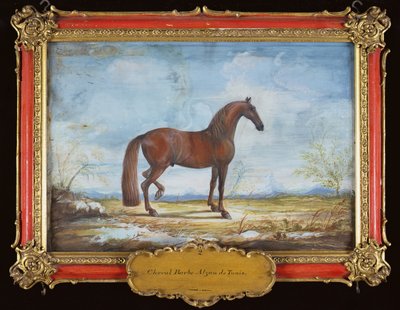 No. 2 Alzan de Tunis, un cheval barbare de l