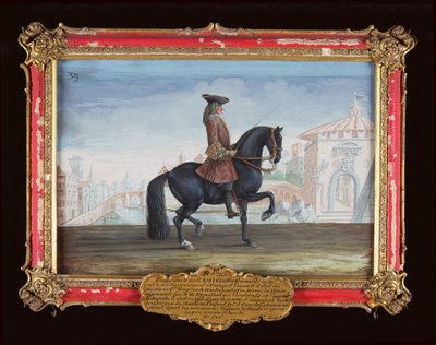 No. 39 Le Superbe, un cheval de l