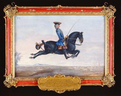 Un cheval noir nommé Curioso exécutant un mouvement de dressage appelé Capriole - Baron Reis Eisenberg
