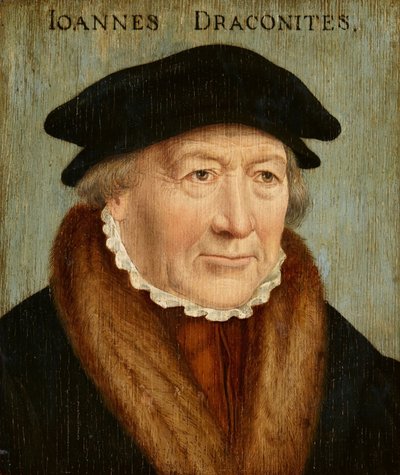 Portrait de Johannes Draconites - Bartholomaeus Bruyn the Elder