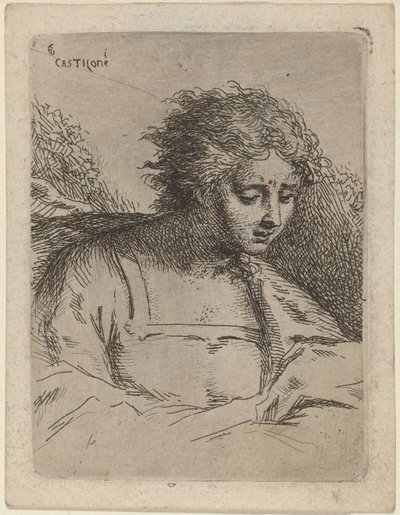 Figure en demi-longueur lisant - Bartholomäus Ignaz Weiss