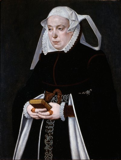 Portrait de femme, vers 1560-70 (huile sur panneau) - Bartholomaus the Younger Bruyn
