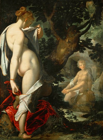 Allemand : Hermaphroditus und die Nymphe Salmacis Hermaphroditus et la nymphe Salmacis - Bartholomeus Spranger
