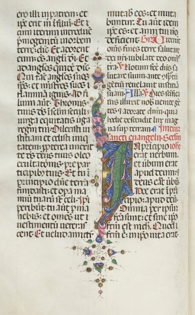 Missale : Fol. 22v : Feuillage avec poisson, 1469 - Bartolomeo Caporali