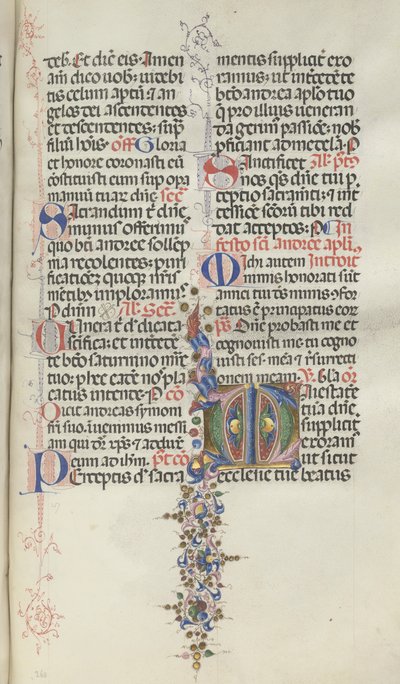 Missale : Fol. 260 : Feuillage avec fruits, 1469 - Bartolomeo Caporali