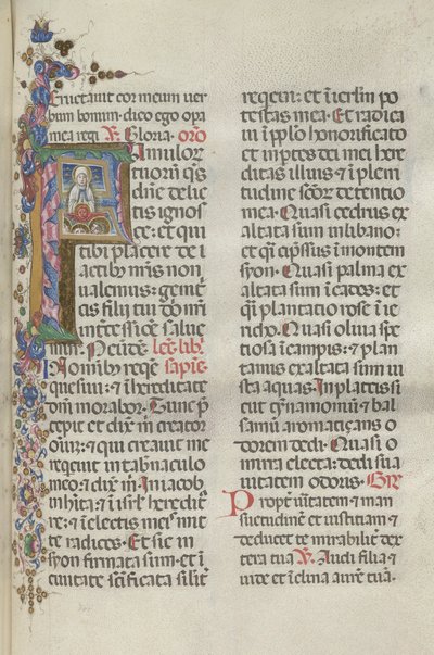 Missale : Fol. 306 : Assomption de la Vierge, 1469 - Bartolomeo Caporali