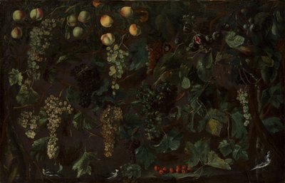 Vignes et fruits, avec trois bergeronnettes, vers 1615-1618 - Bartolomeo Cavarozzi