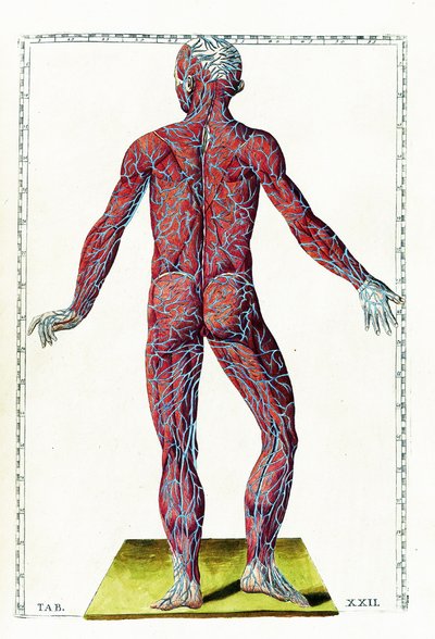 Tabulae anatomicae - Bartolomeo Eustachi