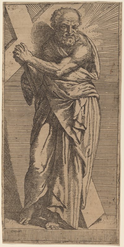Saint André - Bartolomeo Passarotti