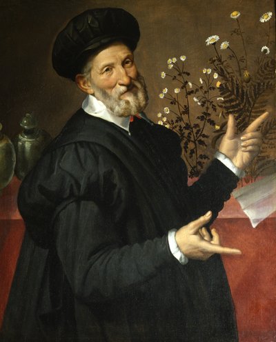 Le botaniste - Bartolommeo Passerotti