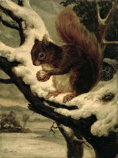 Un écureuil rouge mangeant une noix - Basil Bradley