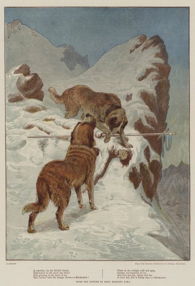 Un voyageur, par le chien fidèle - Basil Bradley