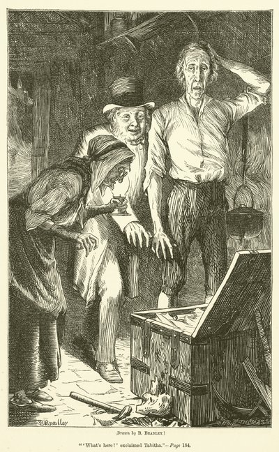 Le trésor de Peter Goldthwaite - Basil Bradley