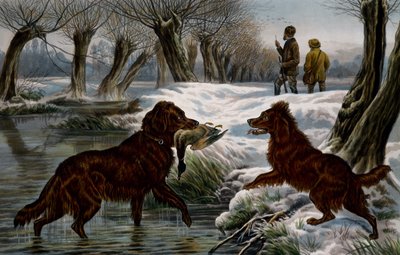 Chasse au canard sauvage - Basil Bradley
