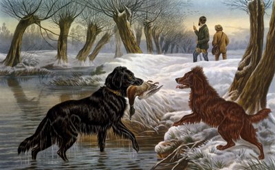 Chasse au canard sauvage - Basil Bradley