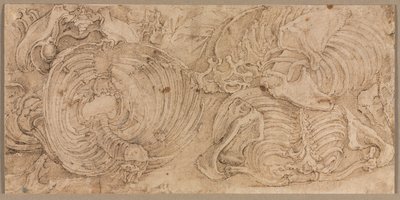 Cages thoraciques, début des années 1540 - Battista Franco