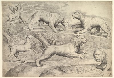 Six animaux, y compris des lions, un tigre, un léopard, un griffon et une chèvre - Battista Franco Veneziano