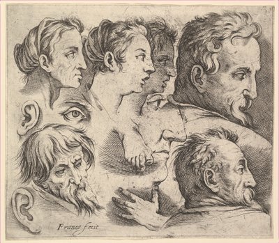 Études de têtes - Battista Franco Veneziano