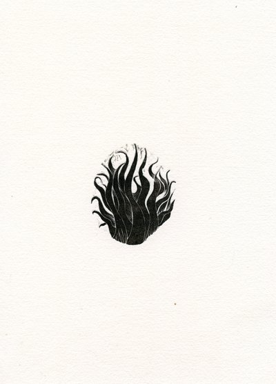 Feu, 2017 - Bella Larsson