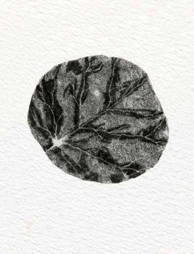 Feuille, 2014 - Bella Larsson