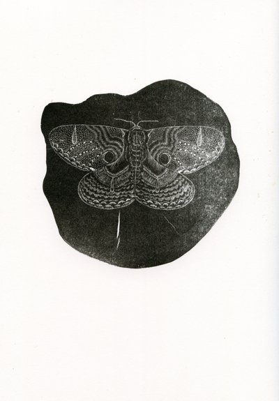 Papillon de nuit, 2016 - Bella Larsson