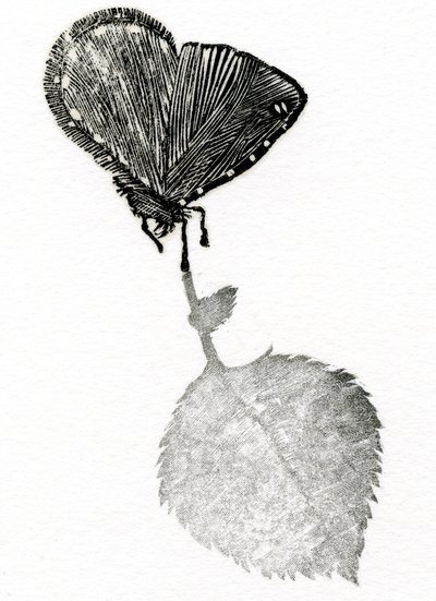 Suspense - Bella Larsson