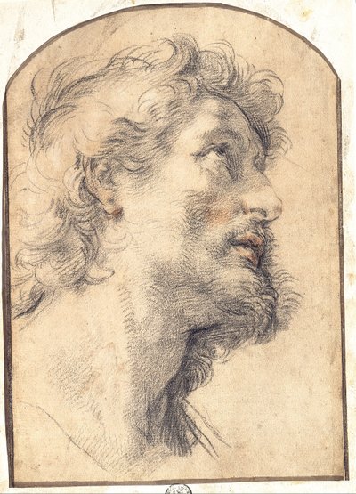 Étude de la tête de Saint Crispin - Benedetto Luti