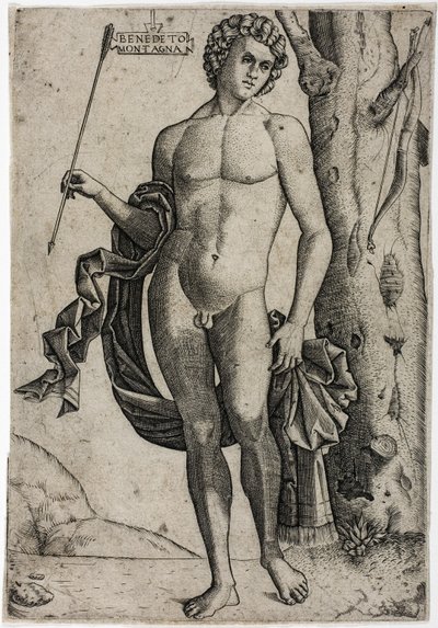 Un jeune homme avec une flèche - Benedetto Montagna