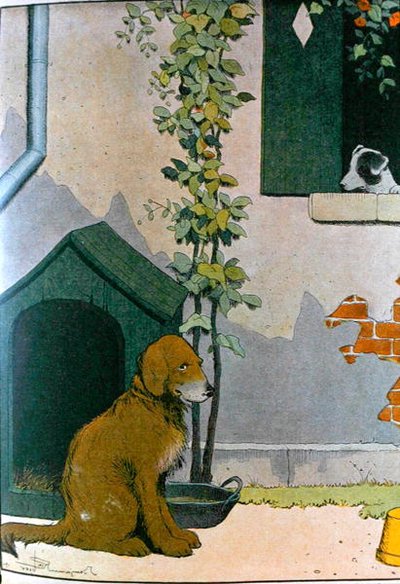 Chien, illustration de 