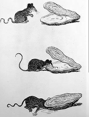 Le Rat et l