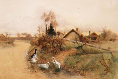Canards barboteurs - Benjamin D. Sigmund