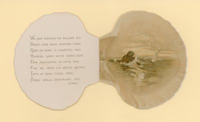 Illustration pour un livret intitulé Coquillages - Benjamin D. Sigmund
